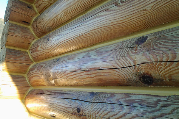 Эффективная борьба с плесенью в деревянном доме