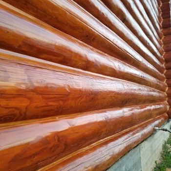 Дом-баня в Твери