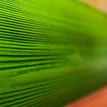 Выставка Gnature