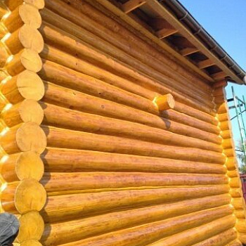 Дом-баня в Твери